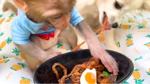 Monkey with dog 🐕🐶 enjoy food