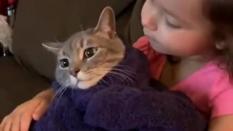 Funny video cat and baby funny videos #shorts