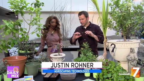 Top 5 Patio Gardening Tips and Tricks!