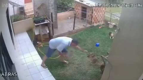 Guy blows the yard trying to kill a gopher.