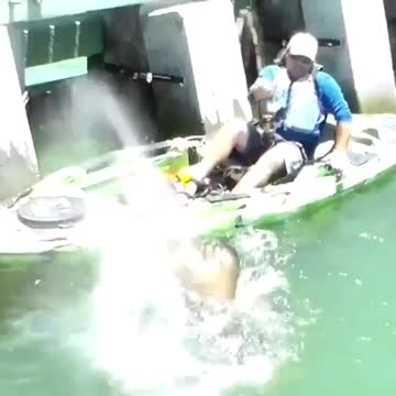 🐋🐳🐋🐳🐋🐳 How To Catch Large Fish 🐋🐳🐋🐳🐋🐳