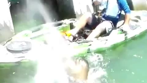 🐋🐳🐋🐳🐋🐳 How To Catch Large Fish 🐋🐳🐋🐳🐋🐳