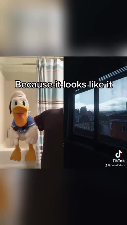 Donald Duck is upset #shorts