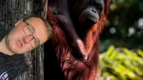 Wildlife