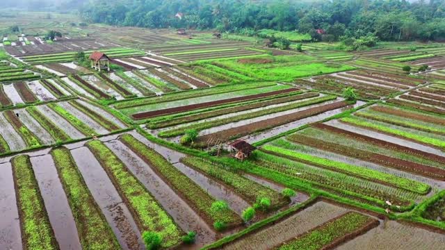 Drone captured stunning footage of beautiful hut in a farm