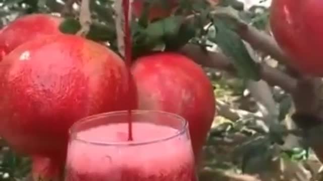 pomegranate drink