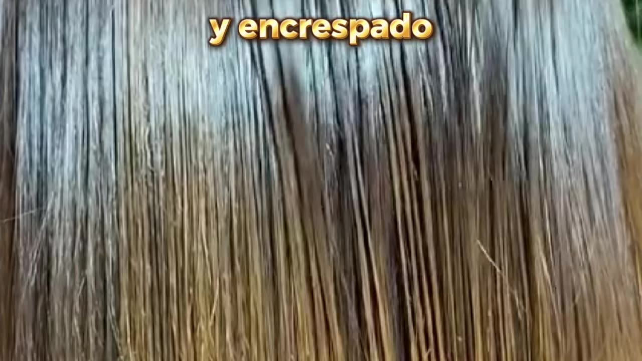Silkonite Aceite esencial para el cabello