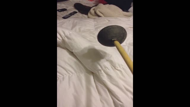 Woman Is Terrified Of Dirty Toilet Plunger