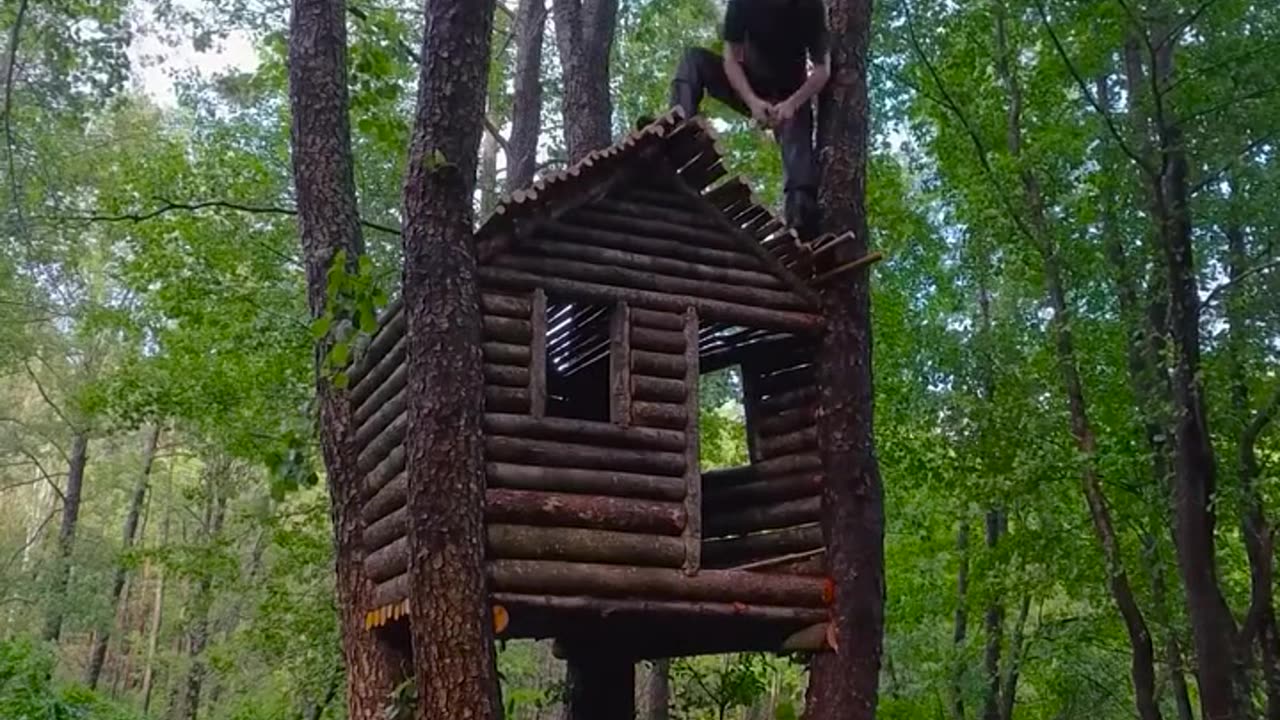 Building a shelter in the mountains for the night #wildernessbuilding #wildbuilding #shelter