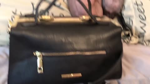 What's in my unique BCBGeneration Bag From Marshalls $29.99