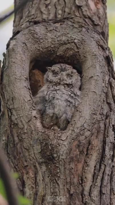 Shake it baby shake it 😂😂