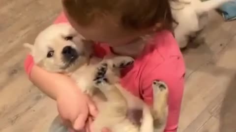 Small dogs with a good girl