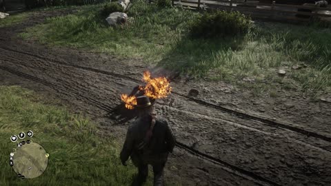 Red Dead Redemption 2 2024 running wild