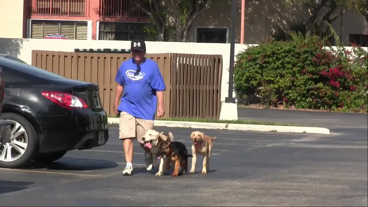 Learn to walk two dogs at same time. WOW