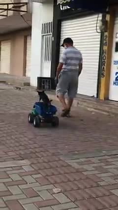 Graban a un hombre que tiraba misteriosamente de un camión de juguete con un pequeño perrito (2)