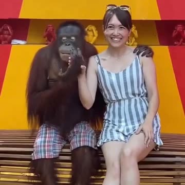 Some animals are destined to enjoy