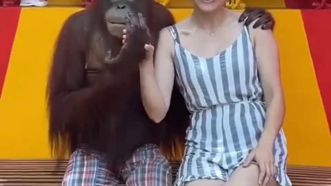 Some animals are destined to enjoy