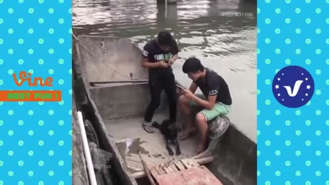 Top Funny Chinese TikTok-Funny Video-Try Not To Laugh001