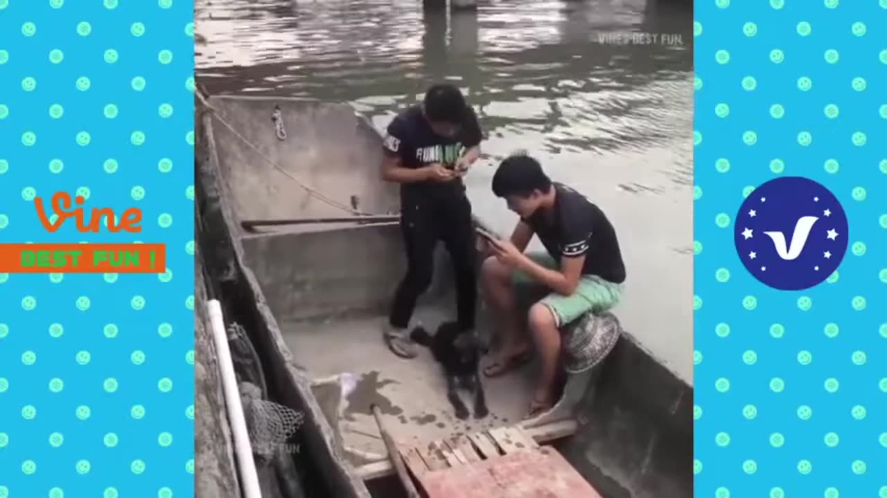 Top Funny Chinese TikTok-Funny Video-Try Not To Laugh001