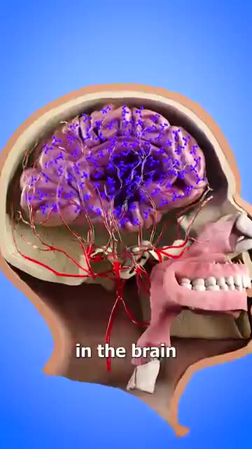 Why People Pass Out On Sling Shot Rides 😨