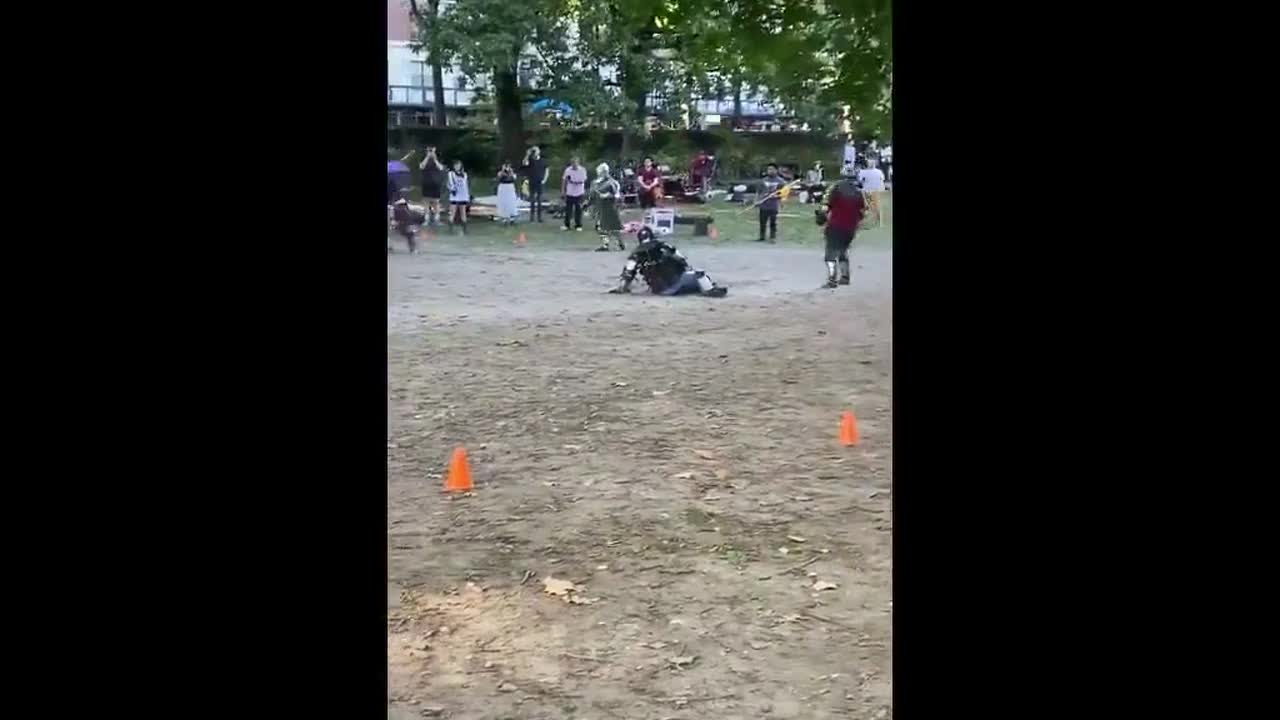 Dog watches group dressed in as medieval knights fight at the park