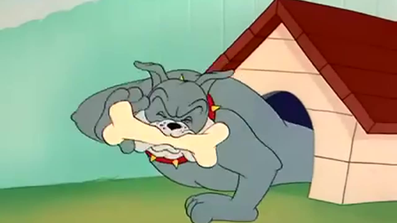 Tom and Jerry - The Framed Cat