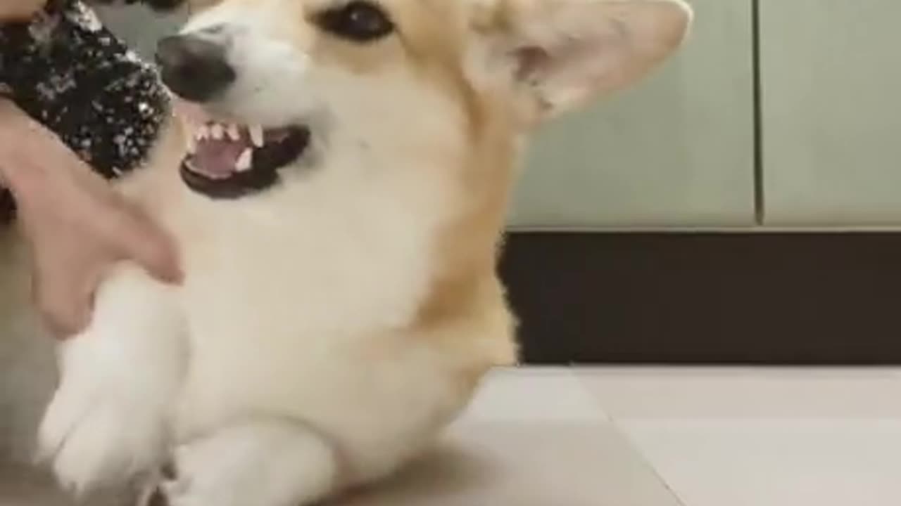 From fear and hate to instant love and acceptance