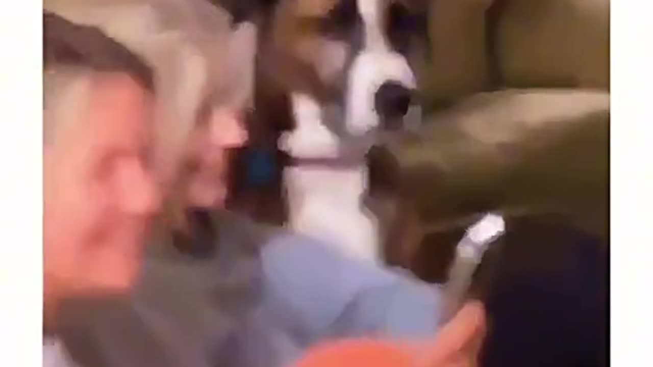 Sneaky Pets in Action โ You Wonโt Believe This! ๐พ๐คซ๐