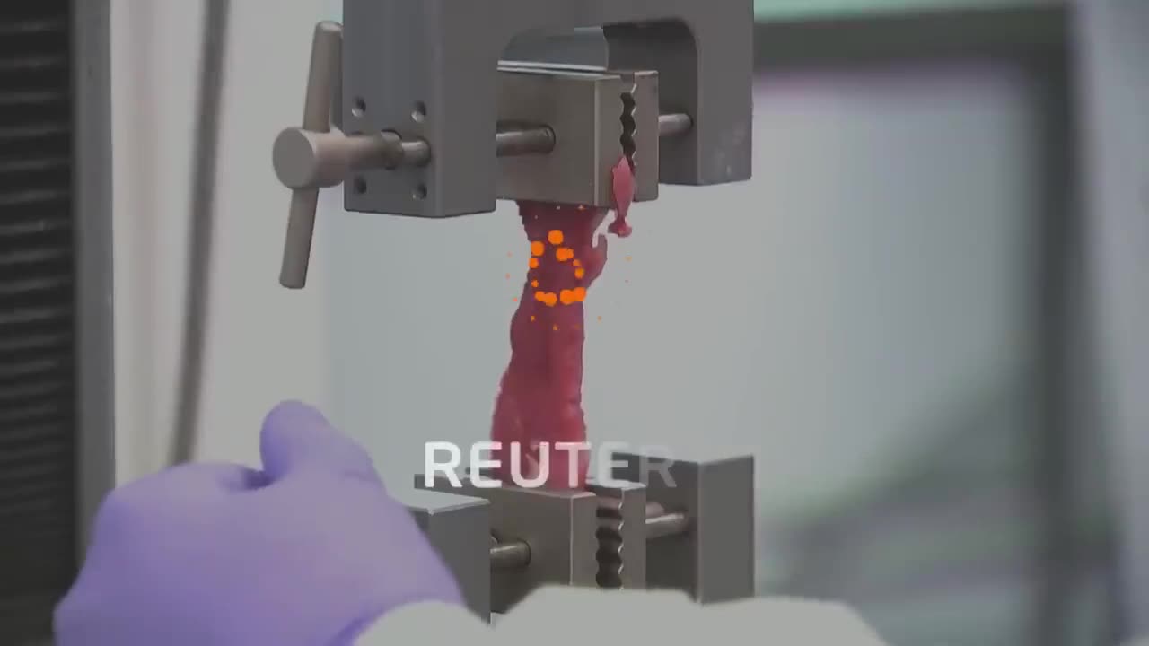 3D printed meat With Fetal Bovine Serum (FBS) Substance!