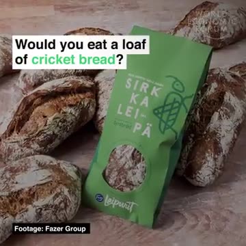 WEF - Finland has made bread with crushed insects.