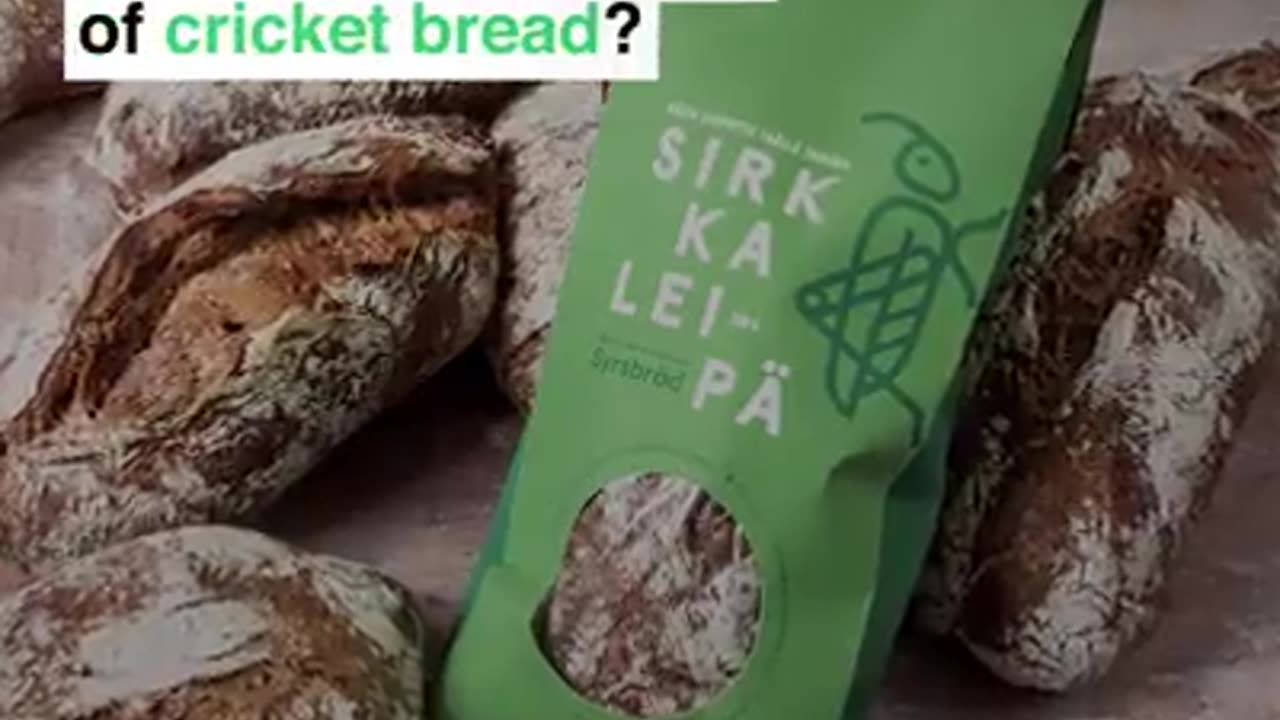 WEF - Finland has made bread with crushed insects.