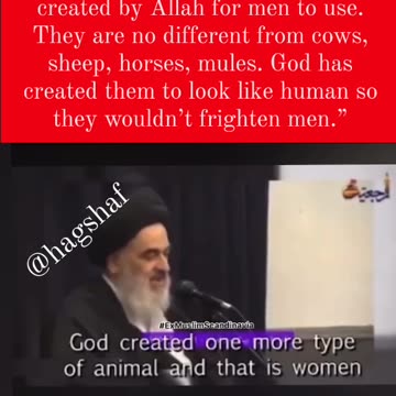 Women are Animals and should be treated like , Shia Cleric **1min