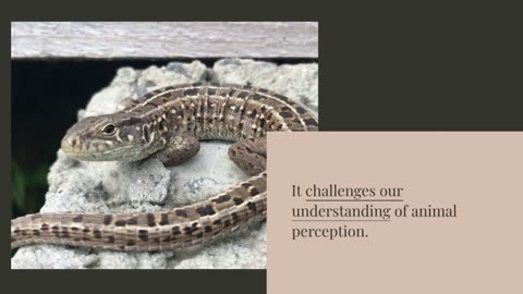 Foundations of Animal Perception: Scientists Uncover Hidden “Sixth Sense” in Geckos