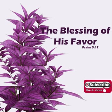 Morning Prayer of God's Favor #youtubeshorts #jesus #grace #mercy #faith #bless #fyp #joy #trust