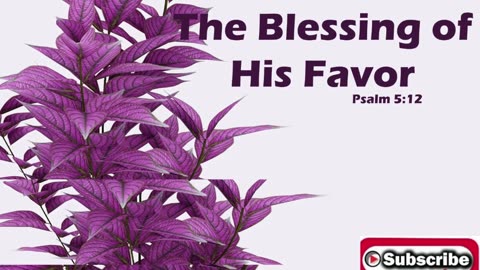 Morning Prayer of God's Favor #youtubeshorts #jesus #grace #mercy #faith #bless #fyp #joy #trust