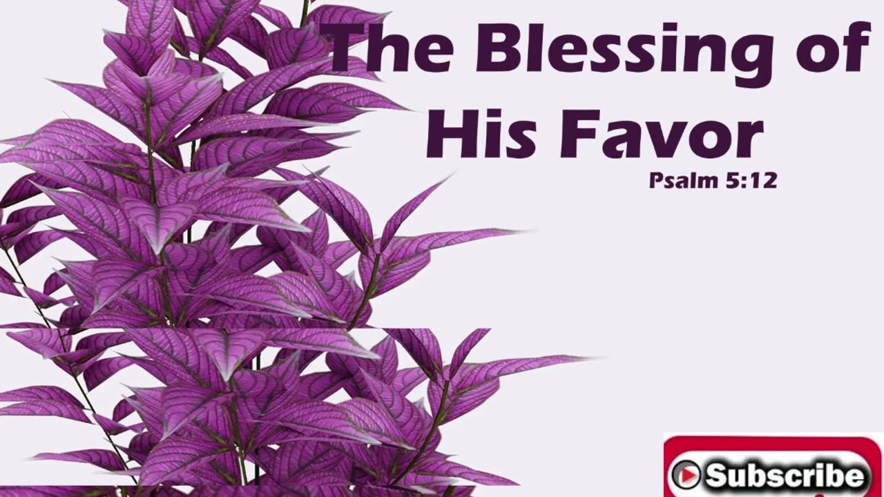 Morning Prayer of God's Favor #youtubeshorts #jesus #grace #mercy #faith #bless #fyp #joy #trust