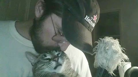 Carldo Kitten ASMR
