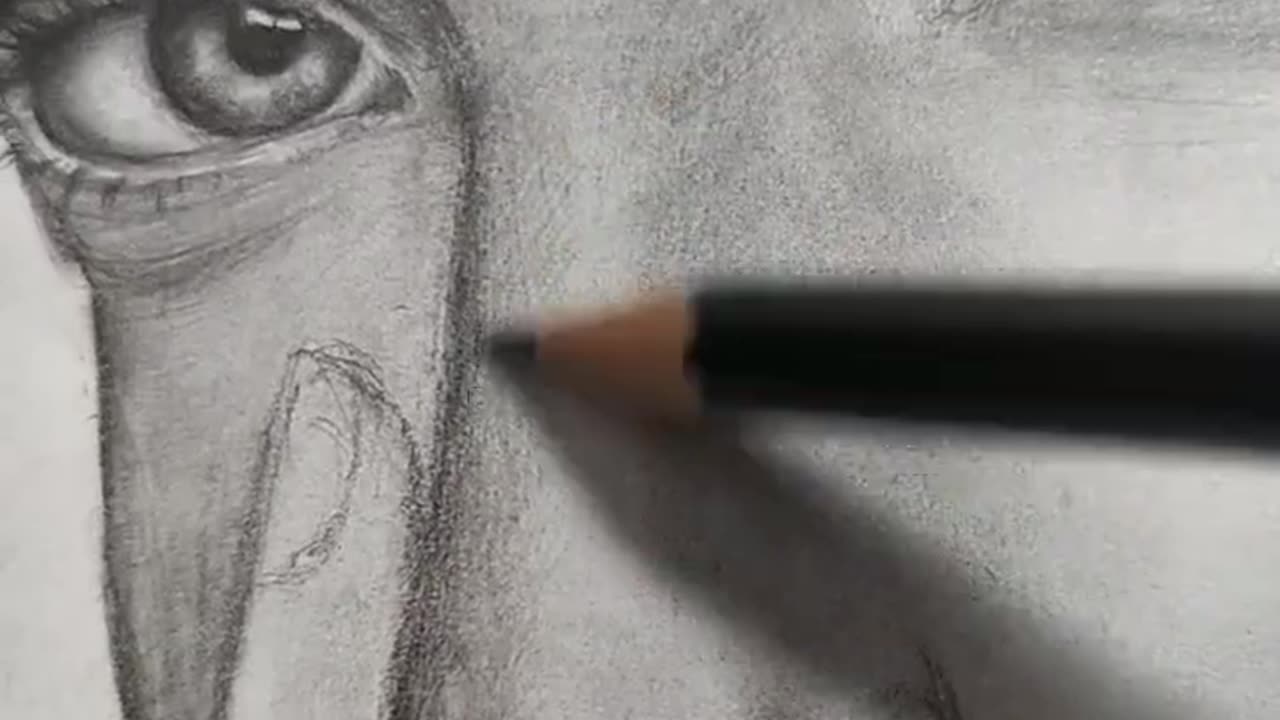 Drawing portrait