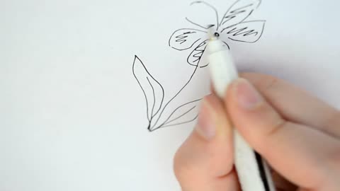 Hand of a person drawing a flower with stylograph