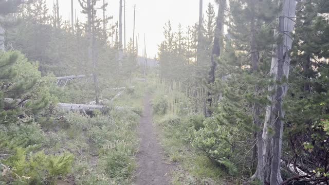 Gorgeous Pink Hued Morning Sunrise Hiking Three Fingered Jack Loop – Central Oregon – 4K