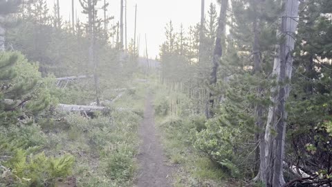 Gorgeous Pink Hued Morning Sunrise Hiking Three Fingered Jack Loop – Central Oregon – 4K