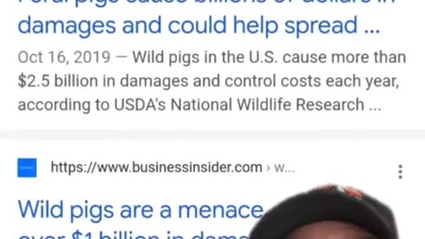 Feral Pigs Cost Billions in the US