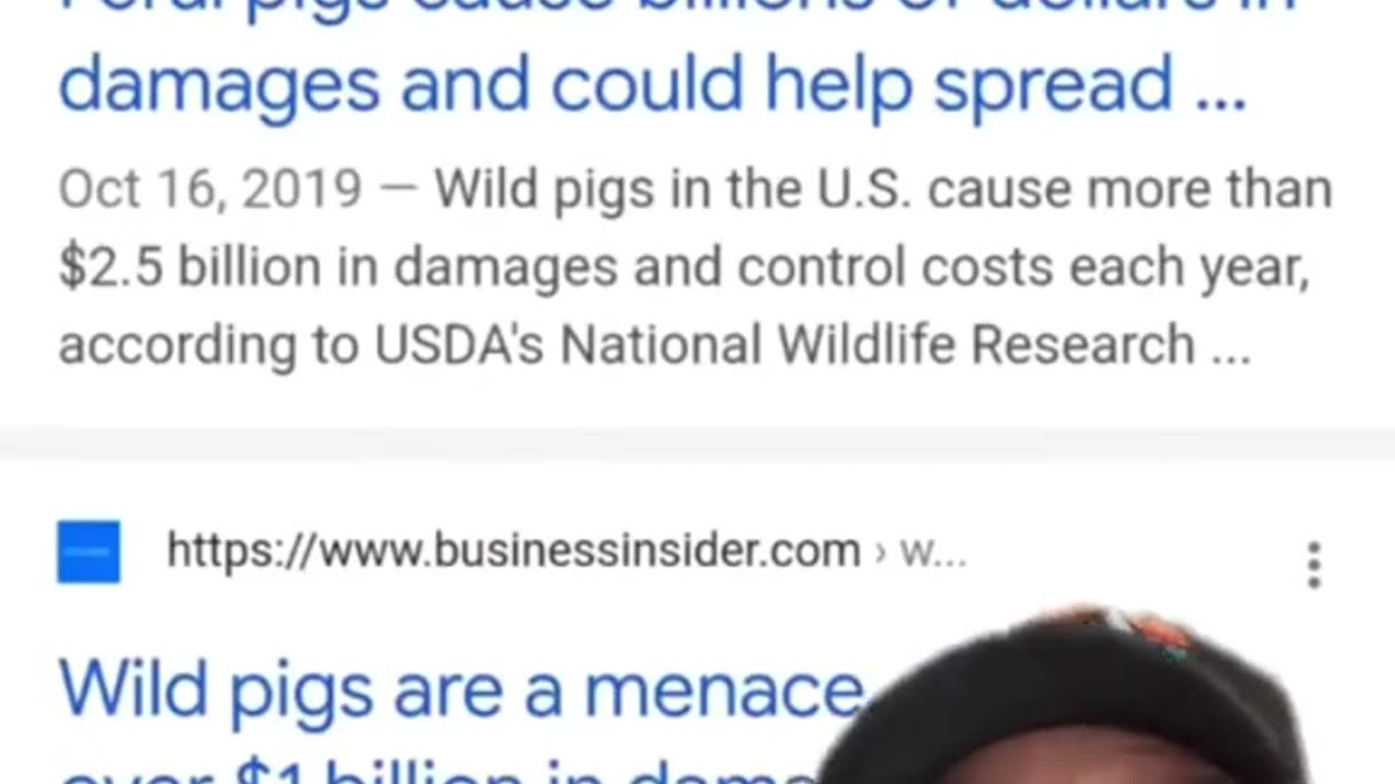 Feral Pigs Cost Billions in the US