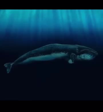 Humans Turn Into Animals - Amazing