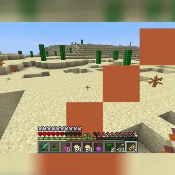 We Defeated the Wither! Next Challenge: Ender Dragon