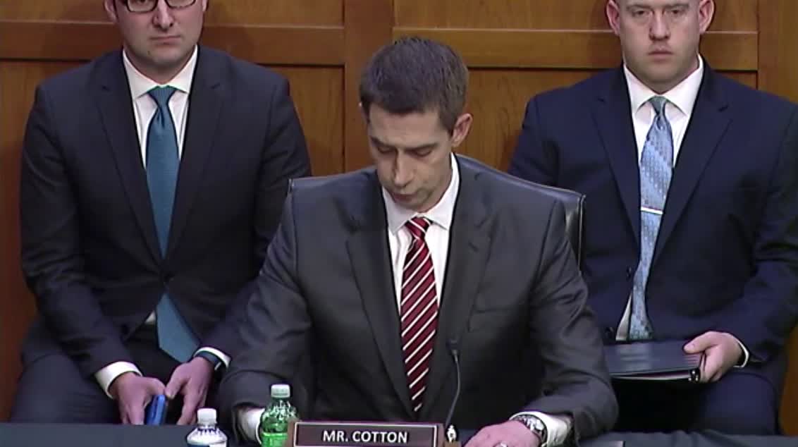 Sen. Tom Cotton: "For some, political outcomes on the court are exactly their goal."