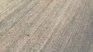 Sharing air space is caring