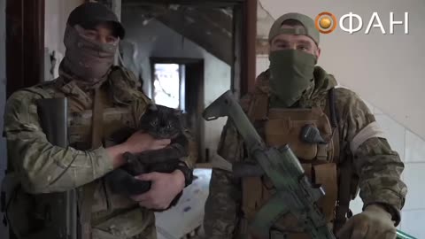 Kitty break before Donbas