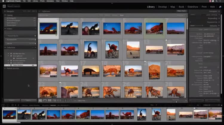 DDNC LIGHTROOM VIRTUAL SUMMIT 2021 - PART 32