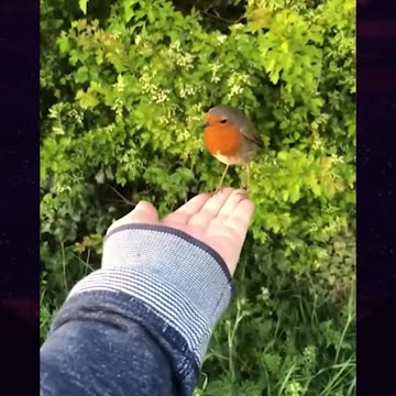 Unbelievable Moments Caught On Camera💯🔥 Like A Boss Compilation 😳🚀 Respect EP 62